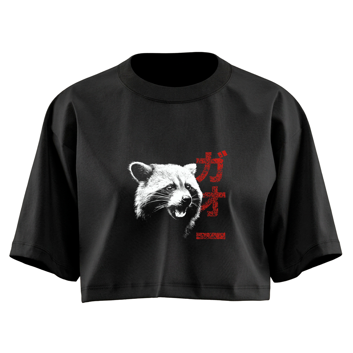 Cropped - Racoon Rawr